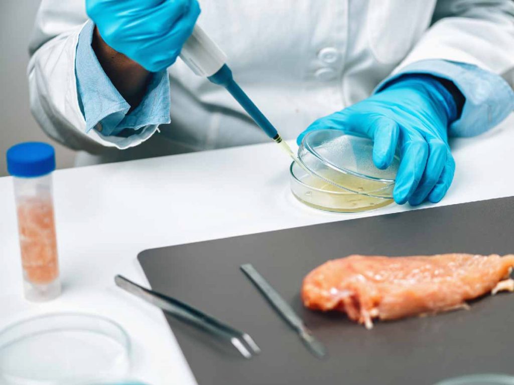 Antibiotics in Food 01